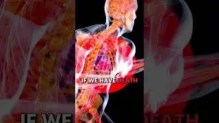 ИШЕМИЯ: ПРОСТОЕ ОБЪЯСНЕНИЕ