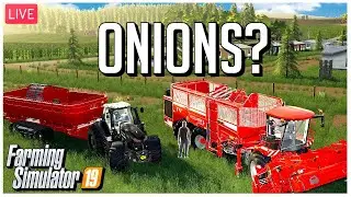 🔴LIVE |TRAILER PARK ONION HARVESTING | SUSQUEHANNA RIVER VALLEY | Farming Simulator 19