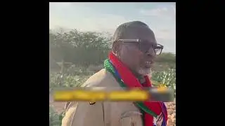 Qalbi-dhagax oo Booqday Qabuuro Wadareed..