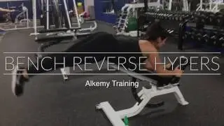 Bench Reverse Hyperextensions - Back Glute Exercise - Alkemy Training