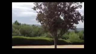River Walk Park in Eastvale CA
