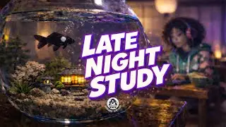 LoFi Beats for Studying | Calm Night Focus