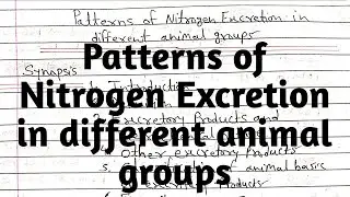Patterns of Nitrogen Excretion in different animal groups