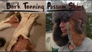 Bark Tanning Possum Skins