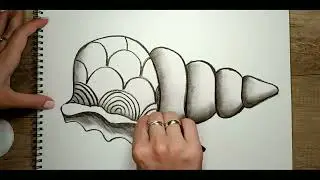 Sea Shell Zentangle - Quick Black & White Charcoal Drawing