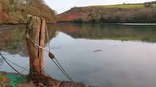 Scott's Quay (Polwheveral Creek), near Constantine, Cornwall