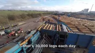James Jones & Sons Tree to Timber
