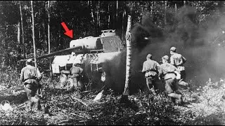 Operation Bagration | The Perfect Encirclement
