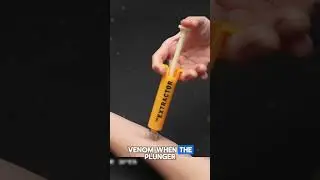 Effectively Extracting Snake Venom