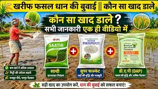 Kharif Fasal Dhan Ki Buwai: Sabse Sahi Jankari! सभी जानकारी एक ही वीडियो में
