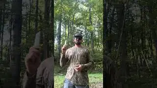 Licking Branch setup! @BlackWidowDeerLures 