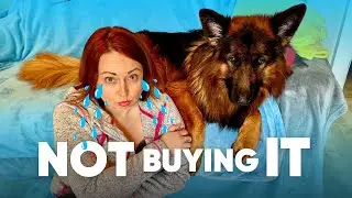 Funny Dog Reaction to Me Crying