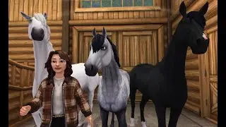 A Word From Our Creator- SSOhorseadventures
