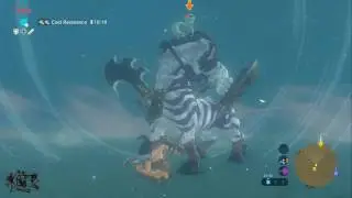 Zelda Breath of The Wild - North Tabantha Snowfield Lynel 1 (sword & shield)