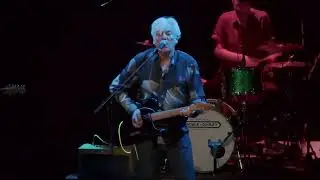 Robyn Hitchcock - 