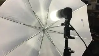LimoStudio Umbrella Lights