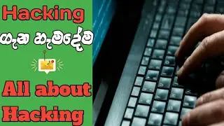 හැකින් ගැන හැමදේම | What is a Hacking | Termux ngrok
