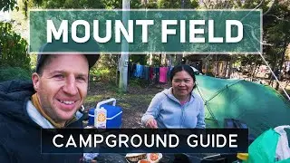 Mount Field Campground Review: What Campers Need to Know