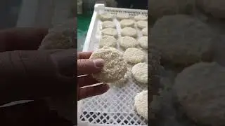 Burger patty/chicken nuggets forming and coating machine