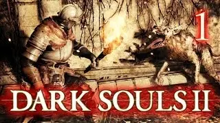 Dark Souls 2 Soldier Gameplay - Network Event Part 1