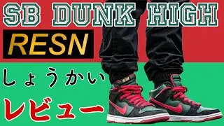 NIKE SB DUNK HIGH PREMIUM 