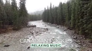 10 Hours of Relaxing Music | Rainy Day in Canadian Rockies | Original Sound of Running Creek