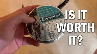 ShengKou Flea and Tick Collar for Cat Review - Is It Worth It?