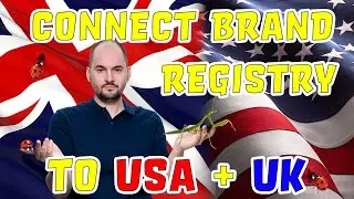 [РЕШЕНИЕ] Ошибка реестра брендов &mdash; подключение к магазинам Amazon в США и Великобритании