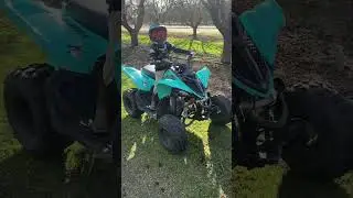Juliens raptor 110