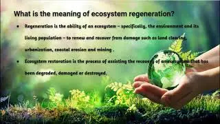 World Environment Day. Theme: Ecosystem Restoration. Project: Ecosystem in a Bottle - Terrarium .