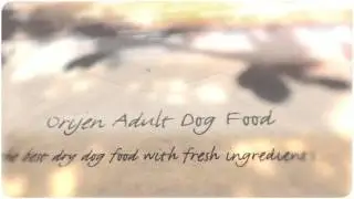 Orijen Adult Dog Food Reviews - Best Dog Food Reviewed
