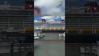 Disney Wish  Cruise leaving from Port Canaveral -  #shorts