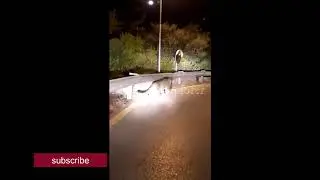 Leopard In Islamabad || Leopard Caught On Camera Daman E Koh Islamabad