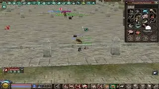 Chavas vs MegaBear Metin2RO TigerGhost