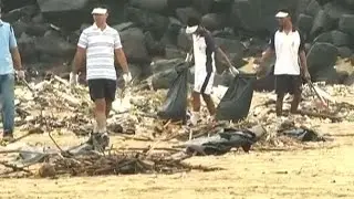 India Celebrate International Coastal Cleanup Day