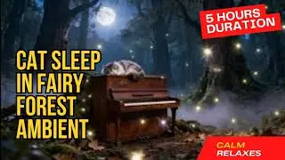Deep Sleep ASMR 🌲 Cozy Forest Villa with Sleeping Cat | Calm Jazz Night