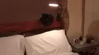 LEPOWER Clip on Light, 60 LED Reading Lights for Books in Bed, with 25+ Lighting Options Review