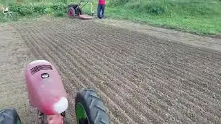 David Bradley Garden cover crop soil prep/plant
