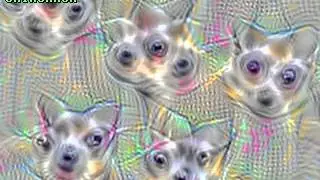 An image recognition network dreams about every object it knows. Part 1/2: animals
