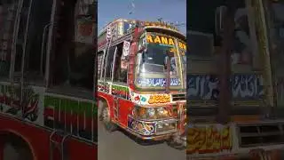 Bus is bound for Shakar Garh | #shorts #youtubeshorts #viral #viralvideo #bus #pakistanbuses