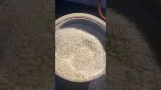How to store rice 🌾 for long time 👌best trick #Viralshort #Shortfeed #Kitchentips #short