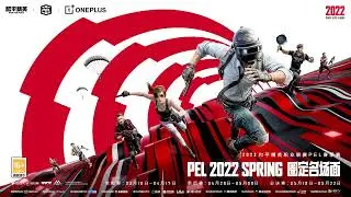 Peace Elite Professional League 2021 &ndash; S5 League (Playoff)