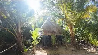 25$ A NIGHT IN TROPICAL CARIBBEAN PARADISE - LITTLE CORN ISLAND NICARAGUA