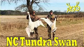 North Carolina Tundra Swan Hunt...Two Down!!! | RGO #506