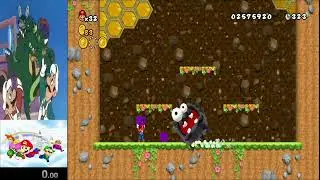 Newer Super Mario Bros. Wii - Drunk Fuzzy