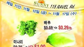 COM SUNNYSUPERMARKET 11NOV10 R0