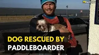 Dog stranded at sea rescued by paddleboarder