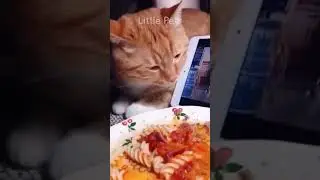 playful tongue in cheek moment