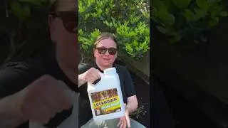 STOP Wasting Money! Try This Viral Mulch Glue Trick! #DIY