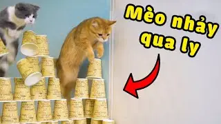 M&egrave;o nhảy qua bức tường bằng ly giấy (The Happy Pets #32)